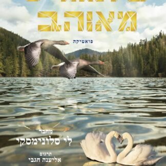 פיתגורס מאוהב: שירים עם תרגום לאנגלית